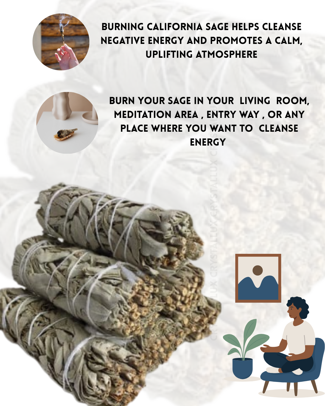 California White Sage - Sacred Smudge For Purification And Energy Cleansing