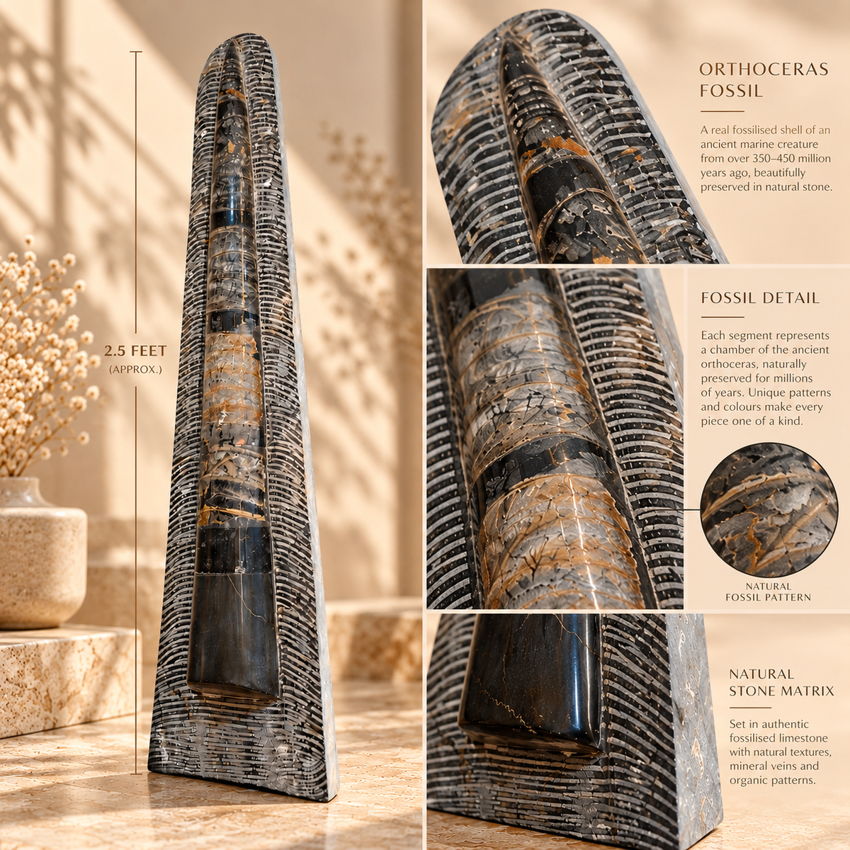 Natural Orthoceras Fossil Tower | Luxury Home Decor