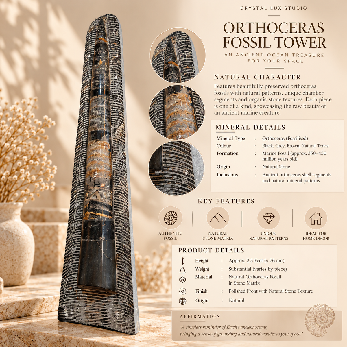 Natural Orthoceras Fossil Tower | Luxury Home Decor